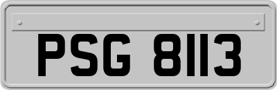 PSG8113