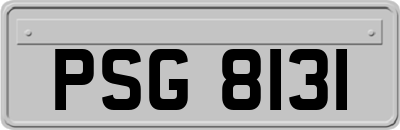 PSG8131