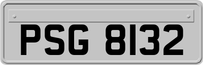 PSG8132