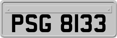 PSG8133