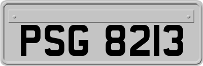 PSG8213