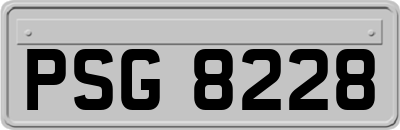 PSG8228