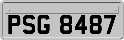 PSG8487