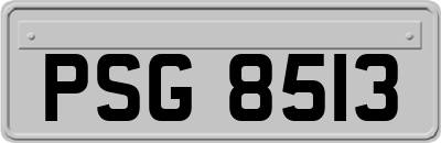 PSG8513