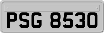 PSG8530