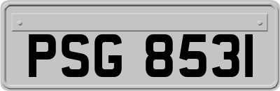 PSG8531