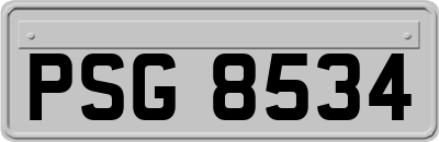 PSG8534