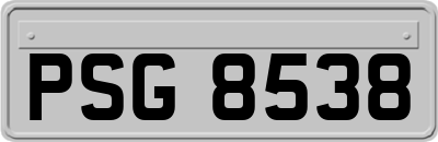 PSG8538