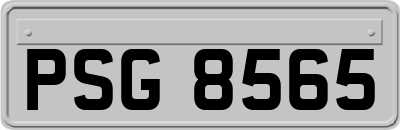 PSG8565