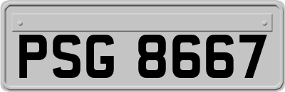 PSG8667
