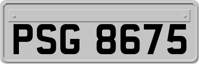 PSG8675
