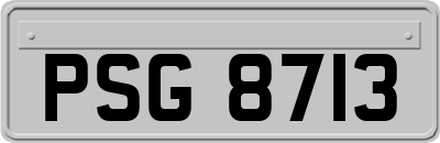 PSG8713