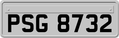 PSG8732