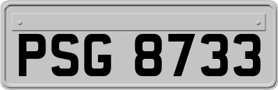 PSG8733
