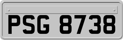 PSG8738
