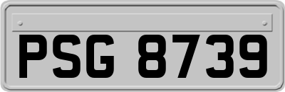 PSG8739