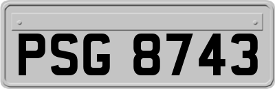 PSG8743