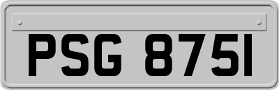 PSG8751