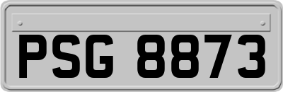 PSG8873