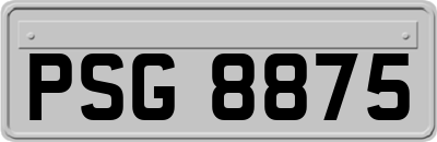 PSG8875