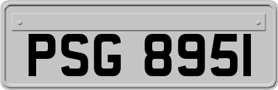 PSG8951