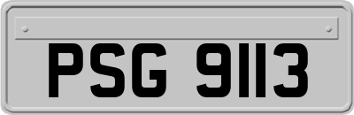 PSG9113