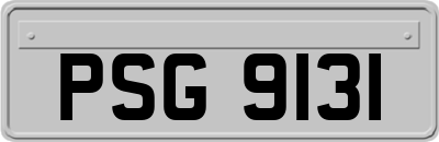 PSG9131