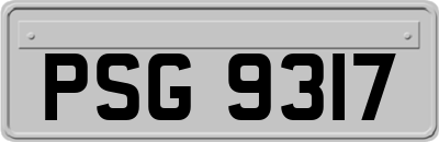 PSG9317