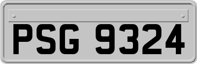 PSG9324