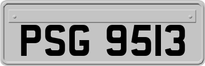 PSG9513