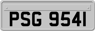 PSG9541