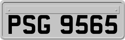 PSG9565