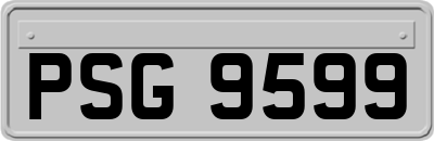 PSG9599