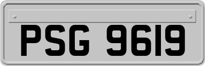 PSG9619