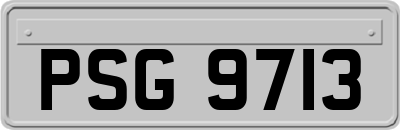 PSG9713