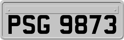 PSG9873