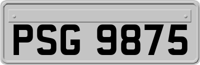 PSG9875