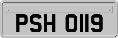 PSH0119