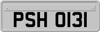 PSH0131