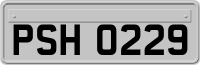 PSH0229