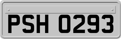 PSH0293