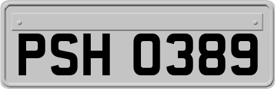 PSH0389