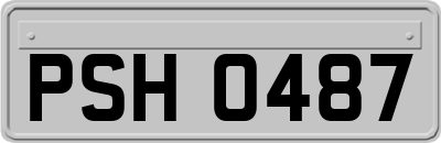 PSH0487