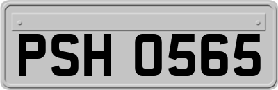 PSH0565