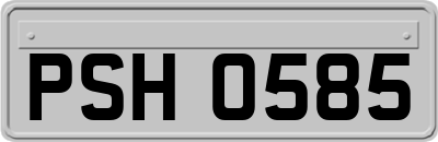 PSH0585