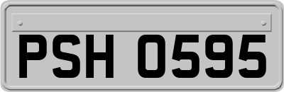 PSH0595