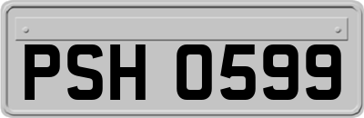 PSH0599