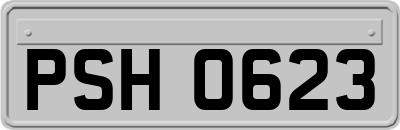 PSH0623