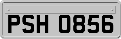 PSH0856