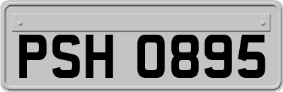 PSH0895